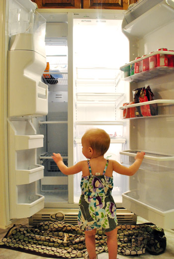 Fridge Empty With Clara