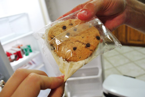 Fridge Melted Cookie