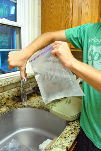 Fridge Melted Ice Bag