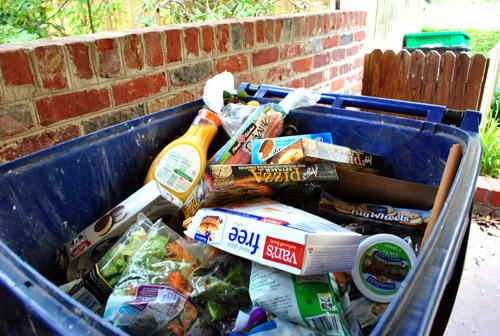 Fridge Trash Can