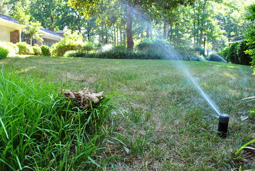 NotSeen Irrigation System