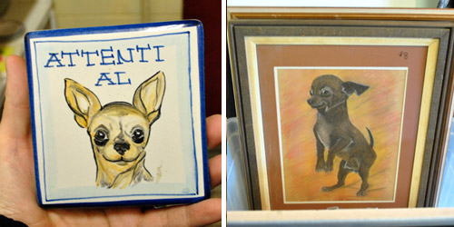 Brevard Chihuahua Items