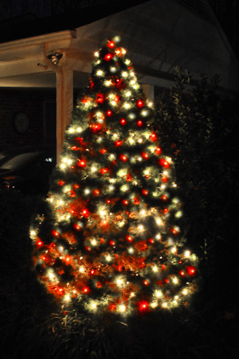 white christmas tree with red lights