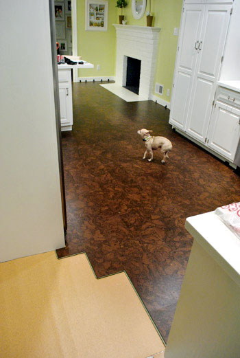 Floating Cork Flooring