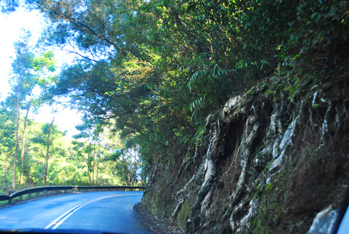 HI2 Hana Curvy Road