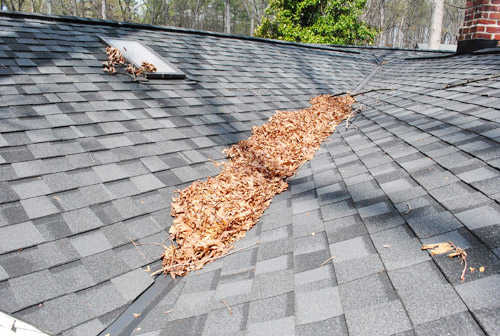 Leak 9 Leaves On Roof