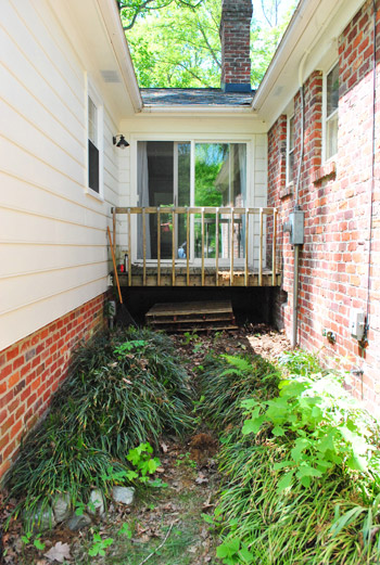 Alley 7 Plants Before