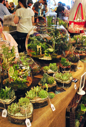 BadaBing Terrarium By Rich