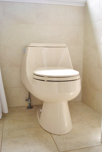 bone color toilet seat