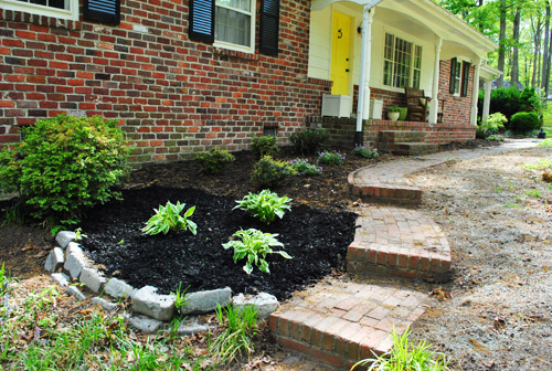 Mailbox 11 Hostas Mulched