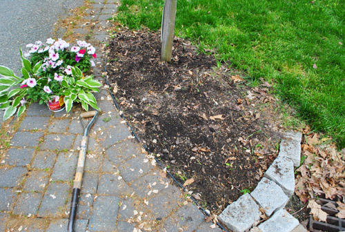Mailbox 6 Ready To Plant