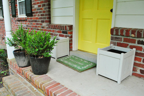 Plants 10 Black On Porch