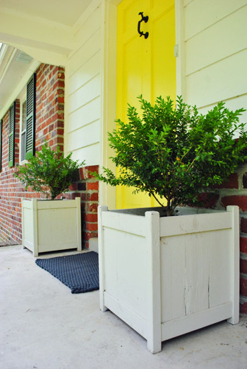 Plants 14 On Porch Side