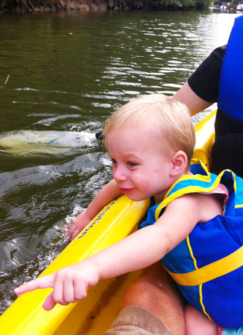 Beach Kayak Clara Pointing