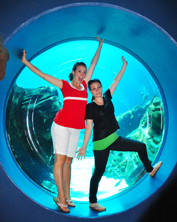 georgia aquarium katie bower sherry petersik