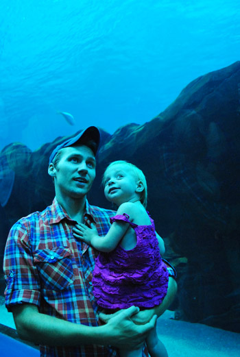 georgia aquarium viewing through underwater tube