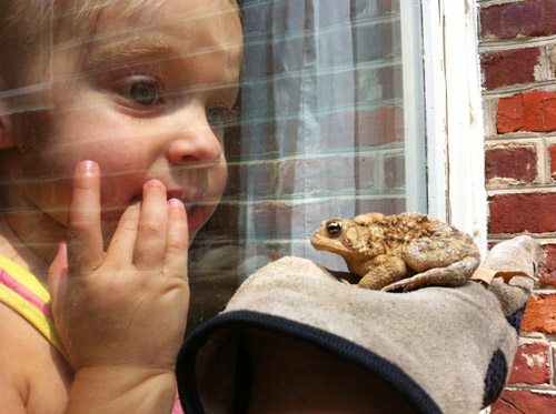 Deck 4 Clara Looking At Frog