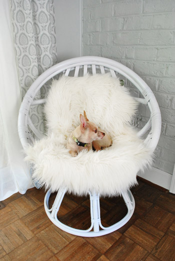 egg chair fur