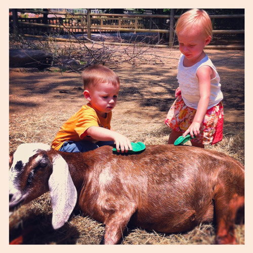 Skirt And Top Petting Zoo