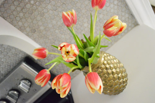 Tulips Gold Crazy Angle