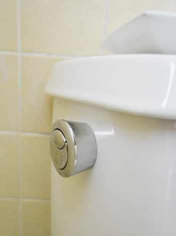 3 Things Dual Flush Toilet After