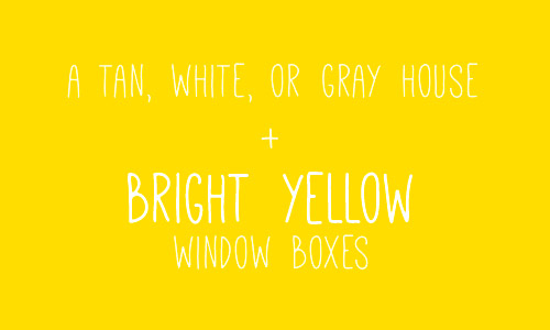 BenMoore Bright Yellow