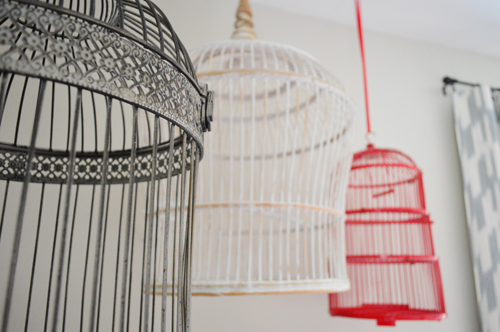 Birdcages Detail Shot