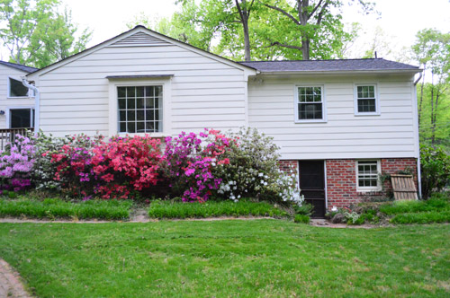 After View of Back of House With Colorful Azalea Bushes and Green Lawn