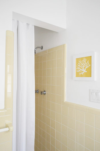 A Yellow Bathroom I Actually Love (Rental Bathroom Reveal)