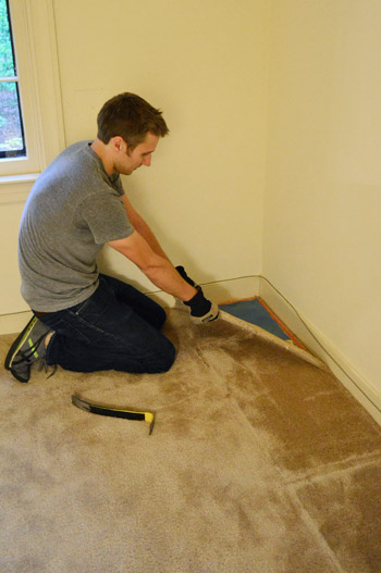 pulling up old carpet by hand
