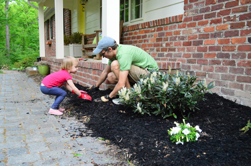 Window Boxes 6 Clara Mulching