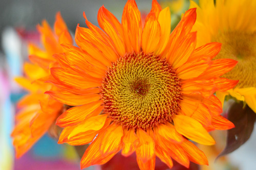 Fiery Sunflower Decoration For Dragon Birthday Party