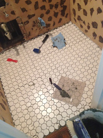Lily Tile Down