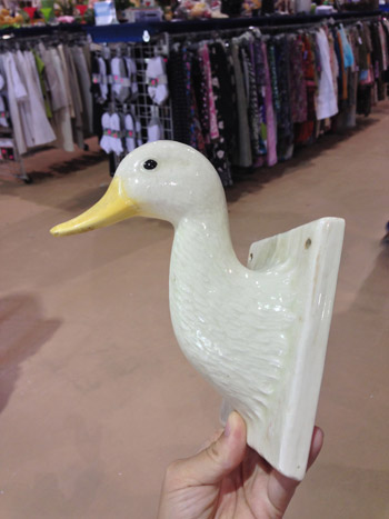 Duck Hanging