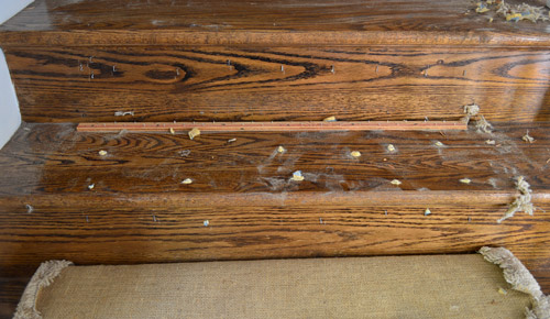 Removing Old Stair Carpet (And 600 Staples)