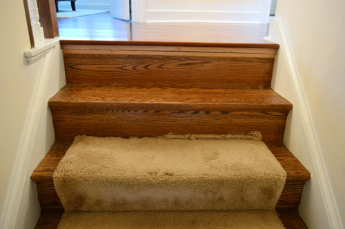 Removing Old Stair Carpet (And 600 Staples)