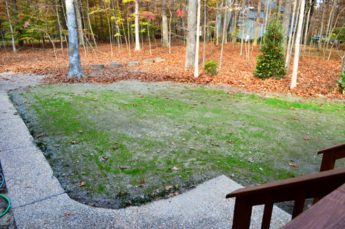 Yard Back After From Deck