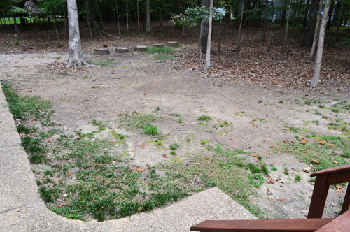 Yard Back Before From Deck