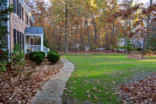 Yard Front After From Driveway