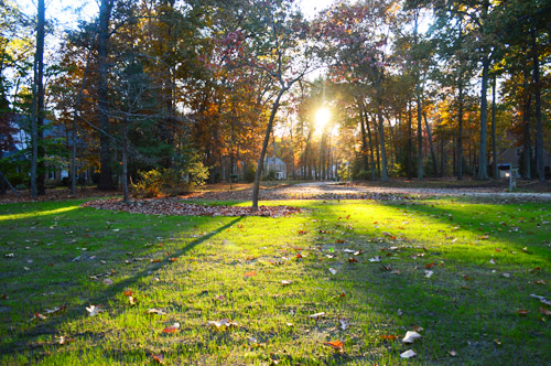 Yard Front After Sunlight