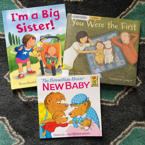 big sister book recommendations