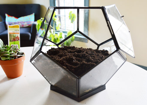 Houseplant Hobbyist on X: What do you think of this terrarium table?🌿   / X