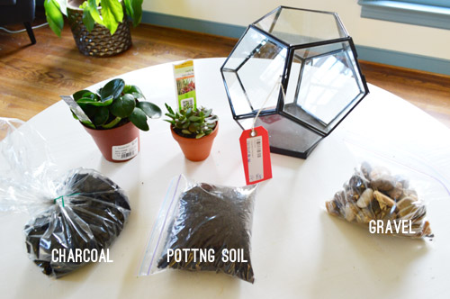 Terrarium Materials