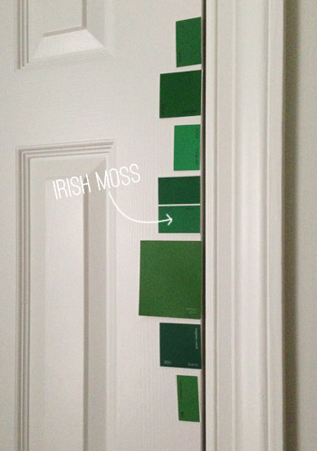 Nursery DOOR Swatches