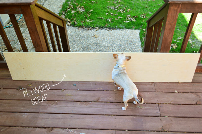 Plywood Scrap In Front Of Deck Stairs to Keep Chihuahua Dog From Escaping