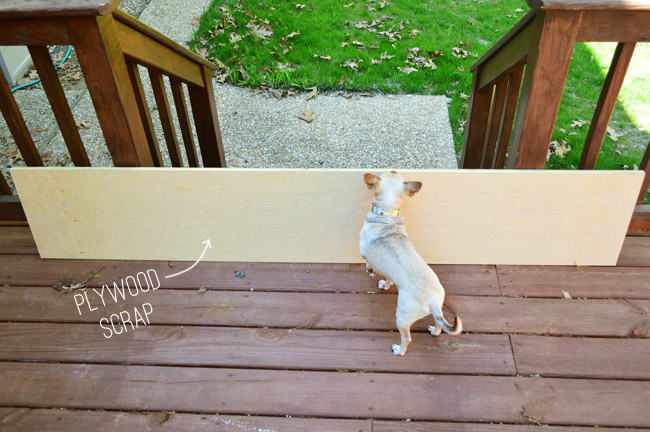 outdoor patio dog gate