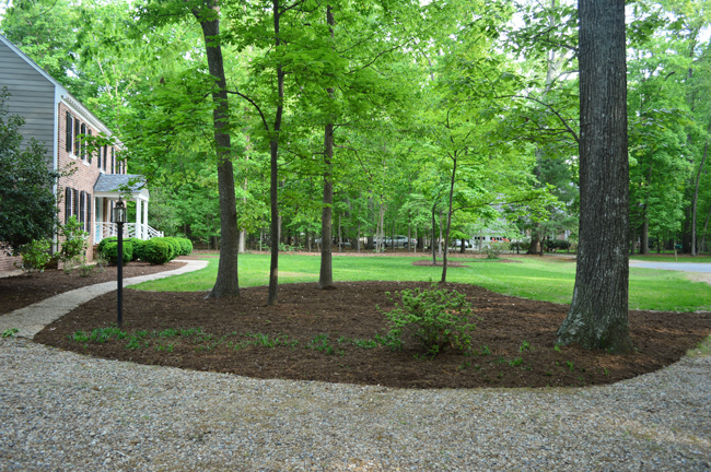 Large Mulch Bed Next to Driveway With Brick Colonial Home In Background
