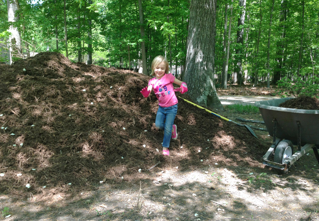 Little Girl With Garden Gloves Playing In Large Mulch Bed Next To Wheelbarrow