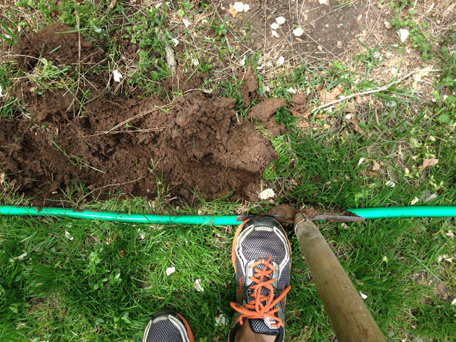 Cutting Out Grass With Edging Shovel To Create Mulch Bed In Front Yard