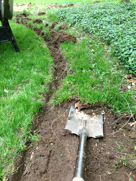 Digging Out Grass Around Mulch Bed